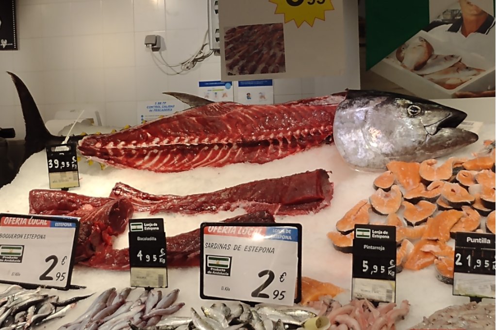 Tuna in Carrefour Estepone